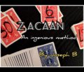 Z ACAAN by Joseph B. (Instant Download)